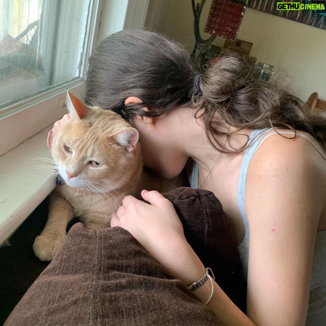 Spencer Tunick Instagram - The cats are not pleased to see her go. #leavinghomeforcollege