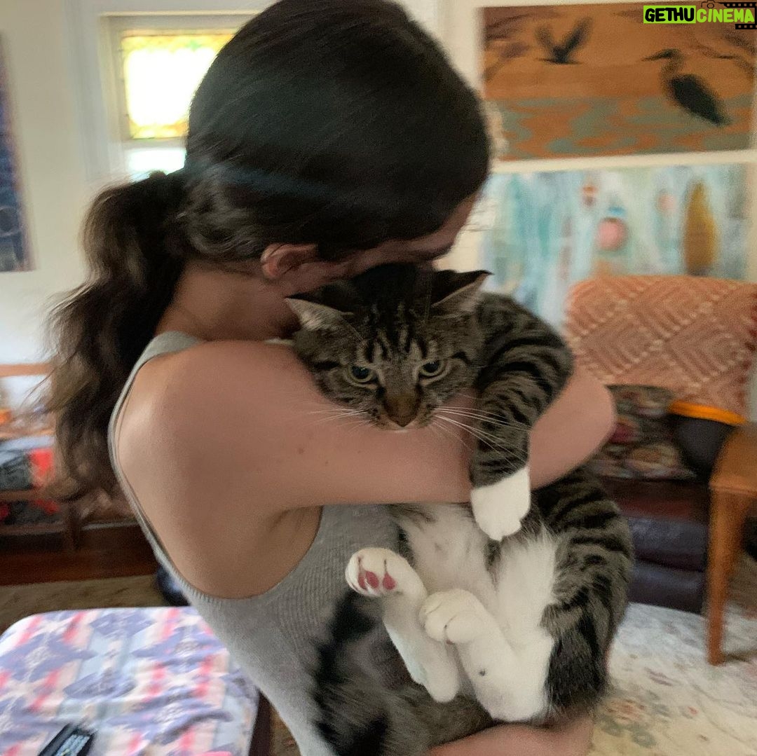 Spencer Tunick Instagram - The cats are not pleased to see her go. #leavinghomeforcollege