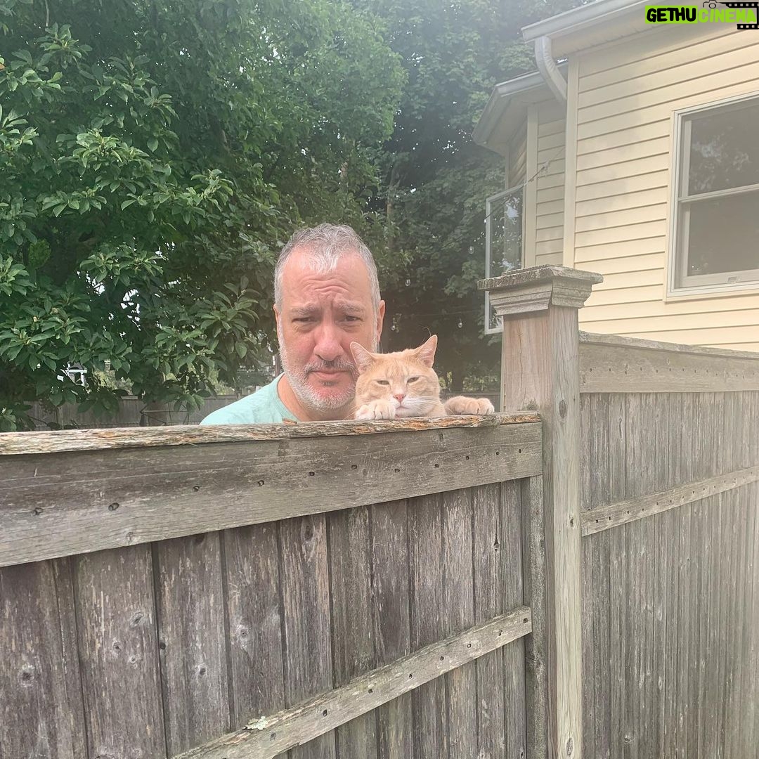 Spencer Tunick Instagram - The cats are not pleased to see her go. #leavinghomeforcollege