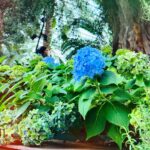Sreethu Krishnan Instagram - Change begins at the end of your comfort zone ❤️‍🔥……. Swipe ‼️ #memories #🇸🇬 Flower Dome