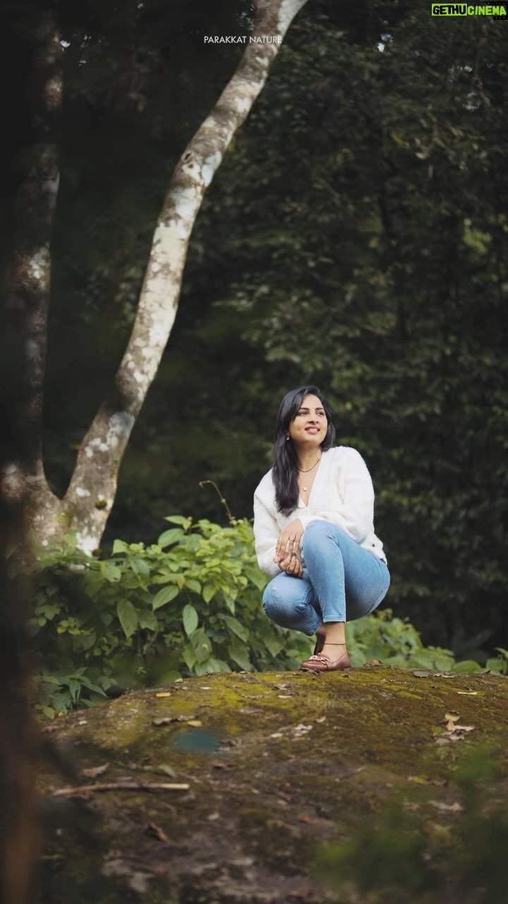 Srushti Dange Instagram - She’s an old soul where love & loyalty still rule in a world while loves to break them 🍀🌳🌲🪵🍃🍁🍂 📍 @parakkatnatureresortmunnar Pallivasal, Munnar #reel #reelsinstagram #reels #reelitfeelit #srushtidange #reelkarofeelkaro #reelsvideo #reelitfeelit❤️❤️ #parakkatresort #parakkatnatureresortmunnar #reelsviral #reelsinsta #reelsinstagram😍 #reelsindia #reelit #reeltoreel #reellife #reeloftheday