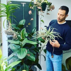 Steevy Boulay Instagram - «La Nature, pour être commandée, doit être obéie.» Francis Bacon

#plantes #urbanjungle #naturaldesign #plants #plantslover #houseplants #boyswithplants #instaboy #instagayguy