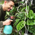 Steevy Boulay Instagram - 💦💦💦 #plantes #urbanjungle #jardininterieur #naturaldesign #plants #plantslover #houseplants #boyswithplants