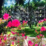Steevy Boulay Instagram - #jardin Le Mans, France