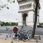 Steevy Boulay Instagram - La dame aux oiseaux #paris