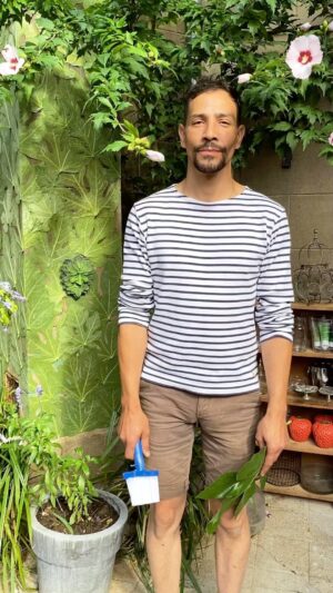 Steevy Boulay Instagram - Besoin de s’occuper ? 🥬🥬🥬

#jardin #acrivitémanuelle #figuier #tapisserievegetale