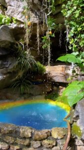 Steevy Boulay Instagram - Cascade 💦💦💦 Merci @mr_kaise 😅👍🏼 #jardin #cascade #plante #bassin #cascada