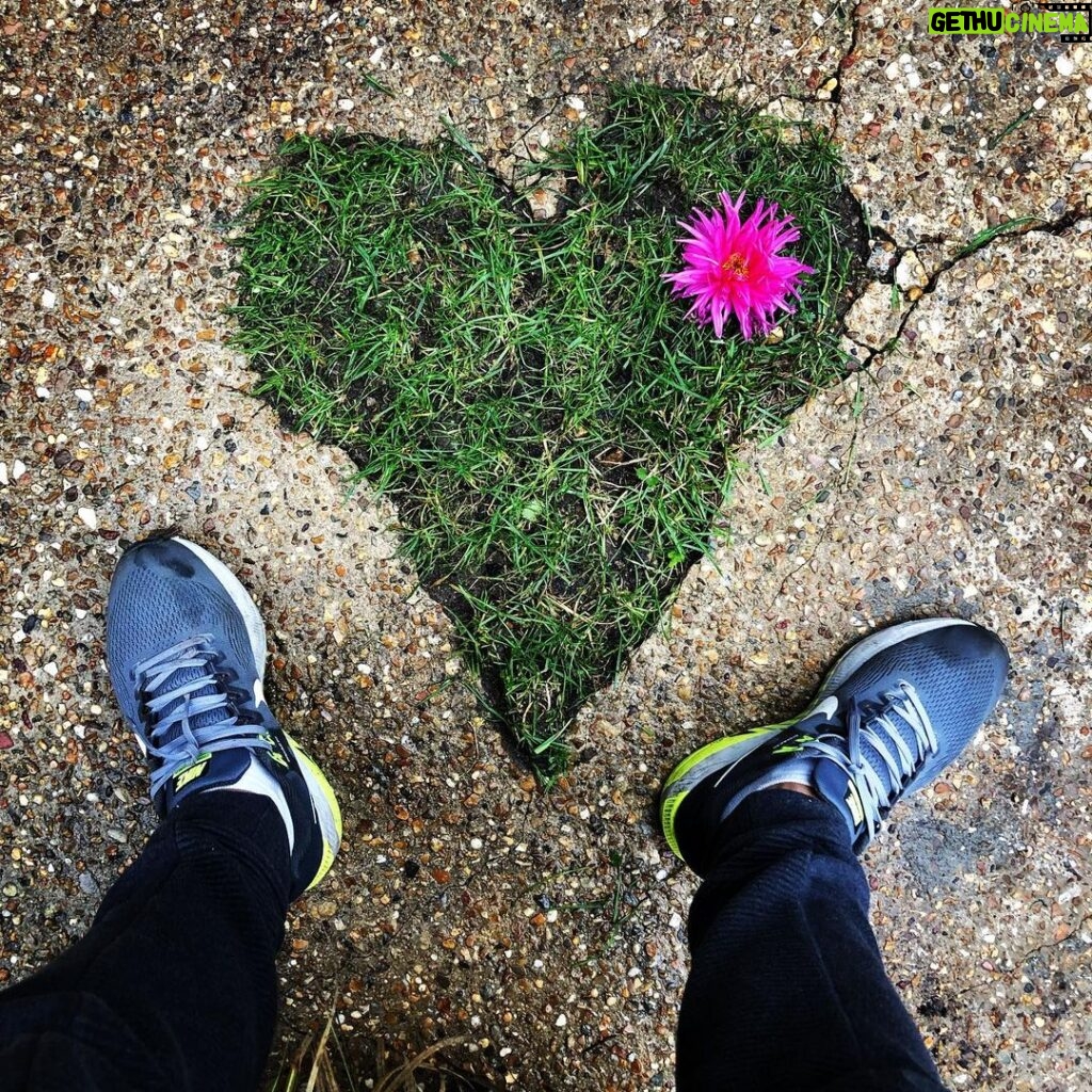 Steevy Boulay Instagram - Mon #cœur de Voh #lemans #jardin #Hautjardin
