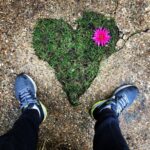 Steevy Boulay Instagram - Mon #cœur de Voh #lemans #jardin #Hautjardin
