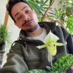 Steevy Boulay Instagram - Salut toi ! #sabotdevenus #fleur #orchidee #urbanjungle #plantsinmyspace #boyswithplants #plants
