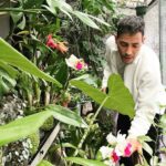 Steevy Boulay Instagram - Les orchidées 🌸 #cattleya #orchidee #boyswithplants #urbanjungle #plantes #jardininterior