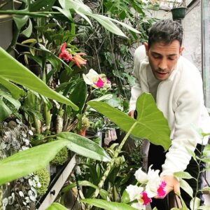 Steevy Boulay Instagram - Les orchidées 🌸

#cattleya #orchidee #boyswithplants #urbanjungle #plantes #jardininterior