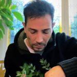 Steevy Boulay Instagram -