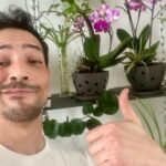 Steevy Boulay Instagram - Les pots pour orchidées d´ @isabellepao 👍🏼 très beaux objets, je vous les recommande vivement ! Fabriqué en France 🇫🇷 à #toulouse #orchids #orchidee #fleur Le Mans, France