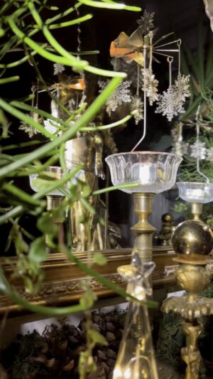 Steevy Boulay Instagram - ❄️ 

#noel #deconoel #plante #cheminee