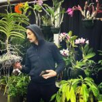 Steevy Boulay Instagram - jungle jungle 🌱 #plants #orchid #urbanjungle #boyswithplants #indoorplants #instaplants #instaboy #houseplants #cattleya #naturaldesign #plantes #난초 Le Mans, France