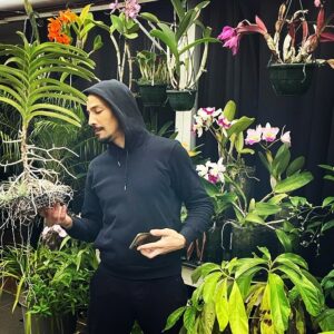 Steevy Boulay Instagram - jungle jungle 🌱

#plants #orchid #urbanjungle #boyswithplants #indoorplants #instaplants #instaboy #houseplants #cattleya #naturaldesign #plantes #난초