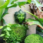 Steevy Boulay Instagram - L’elfe d’Hautjardin #jardin #plantes #elfe #garden #plants Le Mans, France