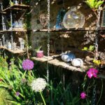 Steevy Boulay Instagram - 🌺🌸 ça pousse : ) #jardin #garden #plants Le Mans, France