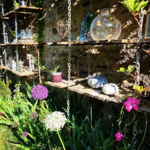 Steevy Boulay Instagram - 🌺🌸 ça pousse : ) 

#jardin #garden #plants