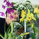 Steevy Boulay Instagram - Les filles et papa ❤️🌸🌺 #orchidées #houseplants #boyswithplants #urbanjungle #indoorplants #plants #orchid Le Mans, France