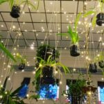 Steevy Boulay Instagram - Jardin suspendu 🌱 #jardininterior #plante #urbanjungle