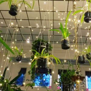 Steevy Boulay Instagram - Jardin suspendu 🌱

#jardininterior #plante #urbanjungle