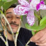 Steevy Boulay Instagram - 🌸 #orchid #orchidée #urbanjungle #boyswithplants #jardin