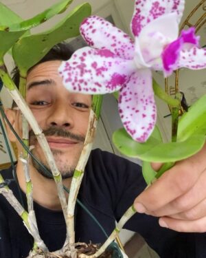 Steevy Boulay Instagram - 🌸

#orchid #orchidée #urbanjungle #boyswithplants #jardin