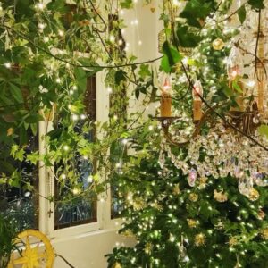 Steevy Boulay Instagram - Mon Sapin 🌲 ⭐️ #Noel2020 #Christmasiscoming #monbeausapin #deconoel