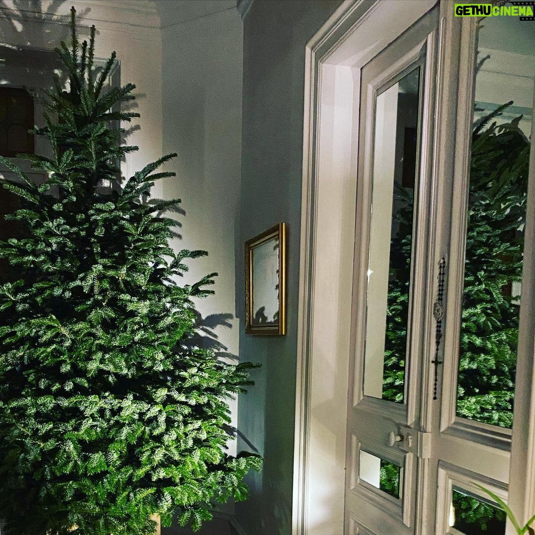Steevy Boulay Instagram - En place ! 🌲⭐️ #sapin #christmastree