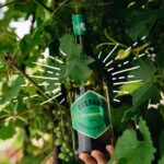 Stefano Faita Instagram - 🇮🇹 Surprenant, mais vrai: 1 Italien sur 50 consacrerait son automne aux vendanges.🍇 🇮🇹 Surprising, but true: 1 Italian out of 50 spends the fall months harvesting grapes.🍇 #stefanofaita #winemaking #winetime #vino