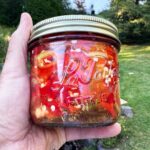 Stefano Faita Instagram – Vous me l’avez demandée, la voici 👉 la fameuse recette de piments marinés de mon ami Jo! On la fait chaque année pour remplir notre cantina et en avoir sous la main quand on en a besoin. Pensez oeufs, pizza, sandwichs, poisson… C’est tellement bon!

Cliquez sur le lien dans la bio pour la recette 🔗

–

Sharing my good friend Jo’s pickled hot pepper recipe with you! We make them every year to fill up our cantina so we have some on hand to put on fish, eggs, pizza, in sandwiches etc… Ever made your own preserves?

Click on the link in bio for the recipe 🔗