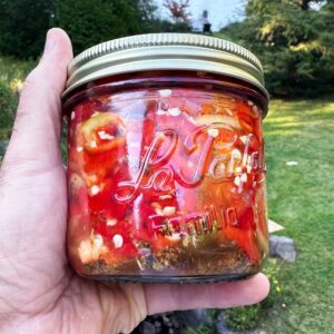 Stefano Faita Instagram - Vous me l’avez demandée, la voici 👉 la fameuse recette de piments marinés de mon ami Jo! On la fait chaque année pour remplir notre cantina et en avoir sous la main quand on en a besoin. Pensez oeufs, pizza, sandwichs, poisson… C’est tellement bon!

Cliquez sur le lien dans la bio pour la recette 🔗

-

Sharing my good friend Jo’s pickled hot pepper recipe with you! We make them every year to fill up our cantina so we have some on hand to put on fish, eggs, pizza, in sandwiches etc… Ever made your own preserves?

Click on the link in bio for the recipe 🔗