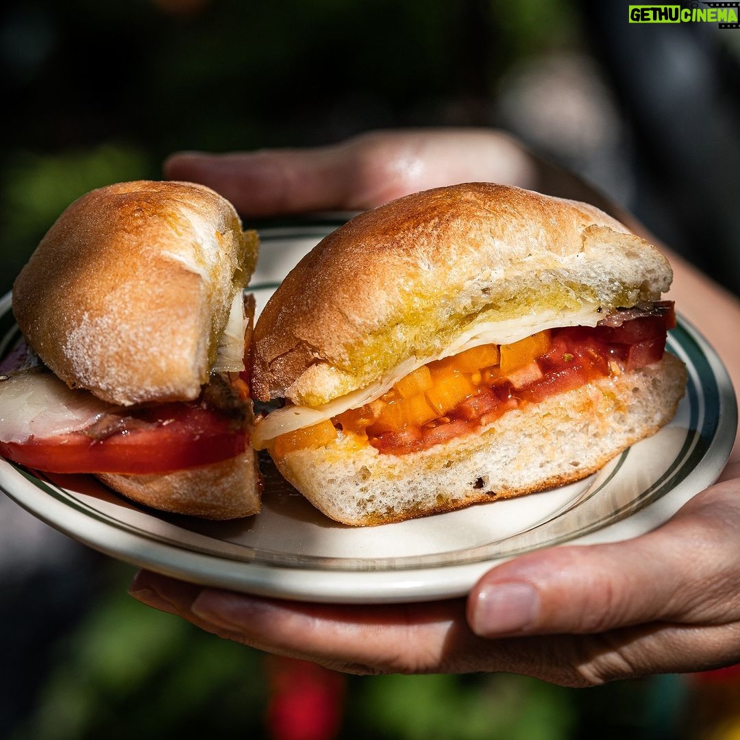 Stefano Faita Instagram - It’s tomato season! Check out our favourite recipes showcasing the famous pomodoro, because there is simply never enough tomato in this life, right? 😍 What's your favourite? Voici nos recettes préférées à base de tomates… parce que, non, on n’a jamais assez de tomates dans nos vies 😍 Qu'est-ce que vous cuisinez avec les tomates? 🔗 in bio / dans ma bio