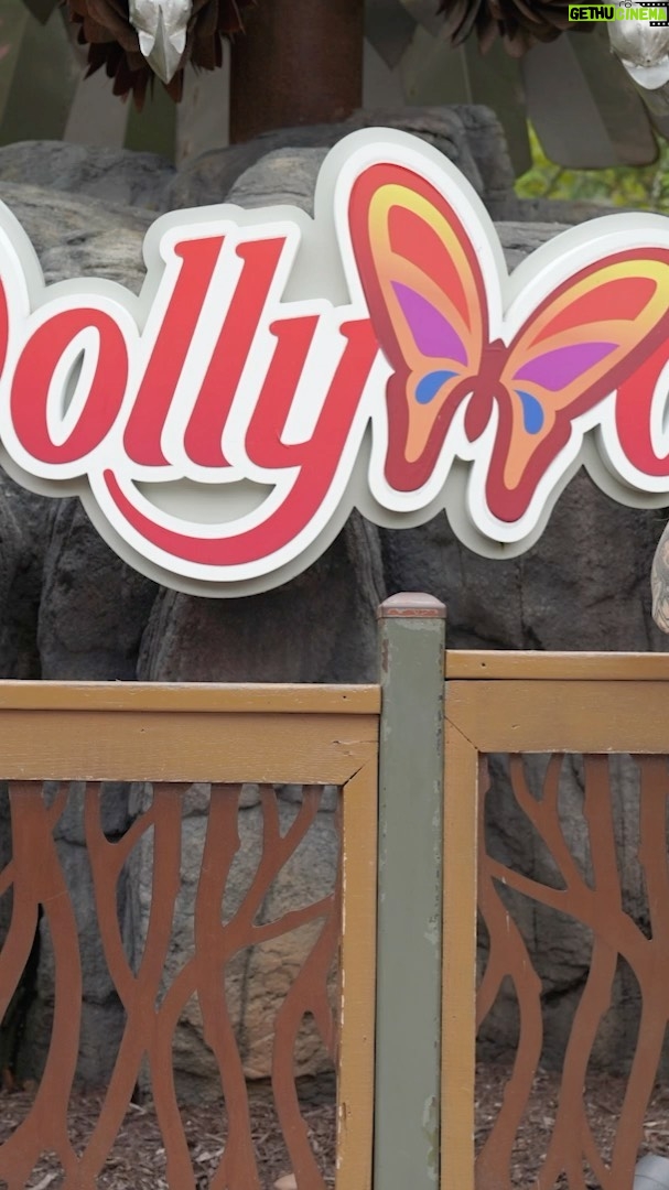 Steffanie Newell Instagram - @shotziwwe & I have bonded over many things, fries, movies, DOLLY FREAKING PARTON, so When in tennesse, you have to go to Dollywood…there’s no other way.