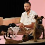 Stephen Curry Instagram - Had a phenomenal time with @buzzfeed and some friends for The Puppy Interview! 🐶 Thanks for having me 🙌🏽 https://www.youtube.com/watch?v=_1Su2tUDvfY