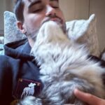 Stephen Manas Instagram - I have to admit it.. I have always been more of a #doglover but #cats have something quite unique ... ❤️ #love #maincoon Genève, Switzerland