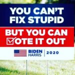 Steve Blackman Instagram - Get out and vote. No excuses. Time for change. @joebiden @kamalaharris #bidenharris2020