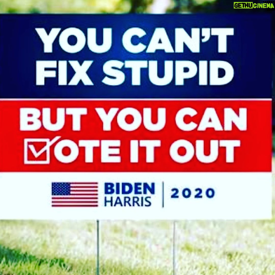 Steve Blackman Instagram - Get out and vote. No excuses. Time for change. @joebiden @kamalaharris #bidenharris2020