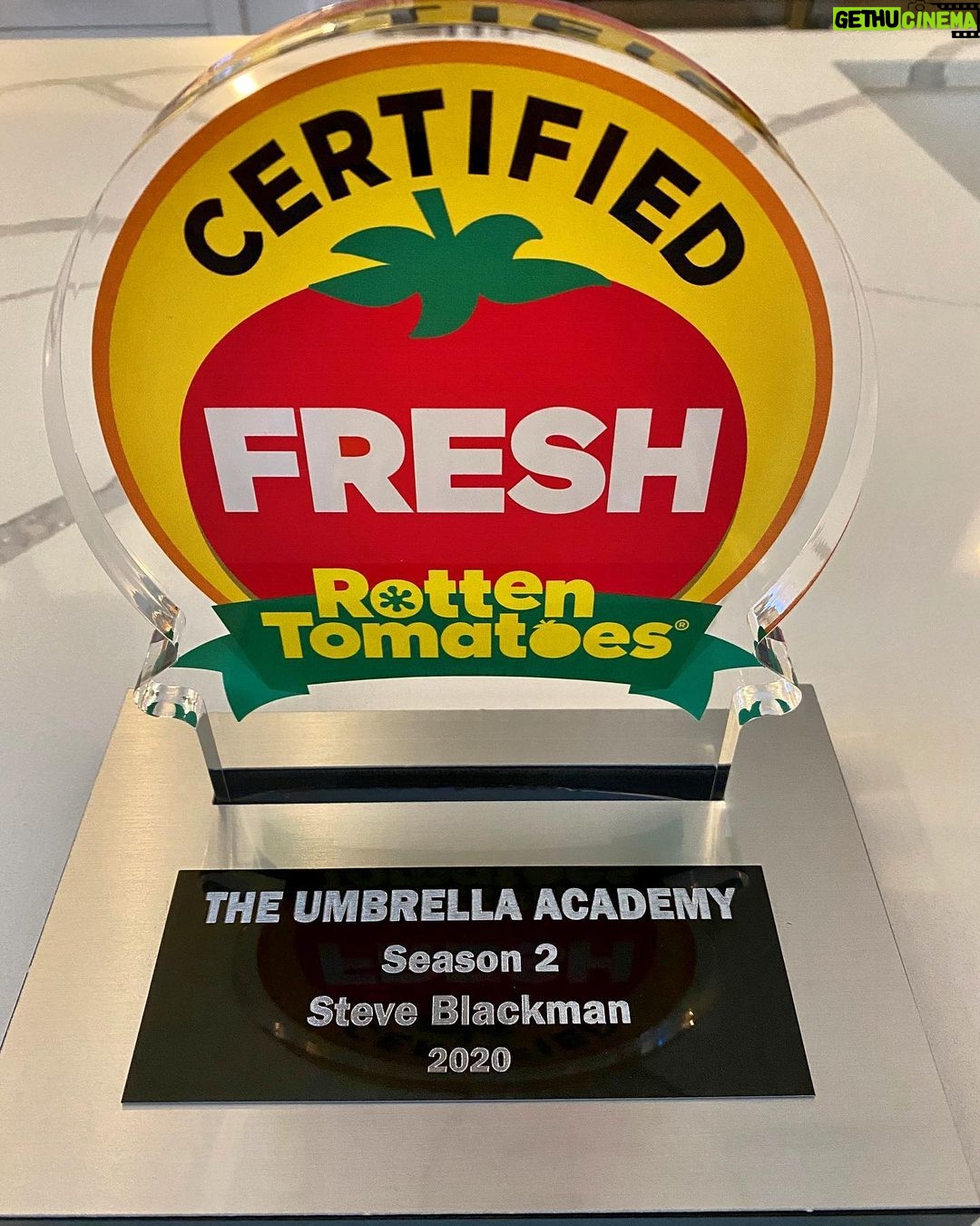 Steve Blackman Instagram - Thanks @darkhorsecomics @rottentomatoes. Love it! @netflix @umbrellaacad