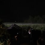Steve Blackman Instagram - Getting ready for @ellenpage to run through our corn field grown just for this shoot (when we were done, corn was turned into feed. Nothing was wasted!) @umbrellaacad @netflix