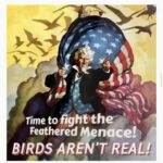Steve Blackman Instagram - The truth hurts… #birdsarentreal