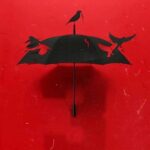 Steve Blackman Instagram – Umbrella + Sparrows = Wild Season 3!!! @umbrellaacad @thesparrowacad_ @bosslogic