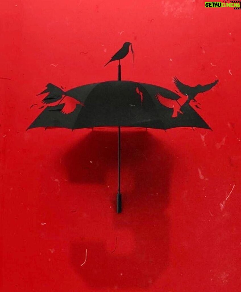Steve Blackman Instagram - Umbrella + Sparrows = Wild Season 3!!! @umbrellaacad @thesparrowacad_ @bosslogic