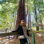 Sugandha Mishra Instagram – In love with the beauty of #california 🇺🇸💚
.
.
#usa #forest #beautifuldestinations #love #travel #omg Winchester Mystery House in San Jose!!