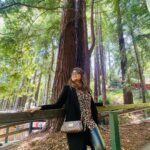 Sugandha Mishra Instagram - In love with the beauty of #california 🇺🇸💚 . . #usa #forest #beautifuldestinations #love #travel #omg Winchester Mystery House in San Jose!!