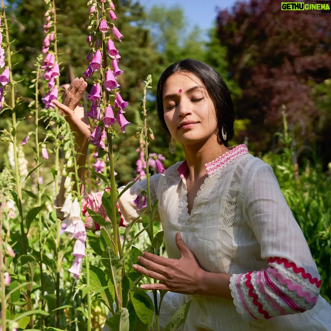 Suhani Dhanki Instagram - I really can't think of an appropriate caption to describe these beautiful photos by my fav artist Simon @simonphoto whilst wearing an outfit designed by my fav designer @payaldhanki But the sun is out today and I can't help but post these ❤️💗🤍 Have a lovely day everyone!