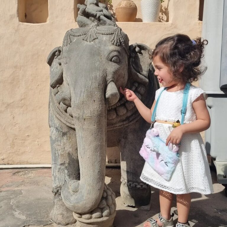 Suhani Dhanki Instagram - Neemrana Fort Palace