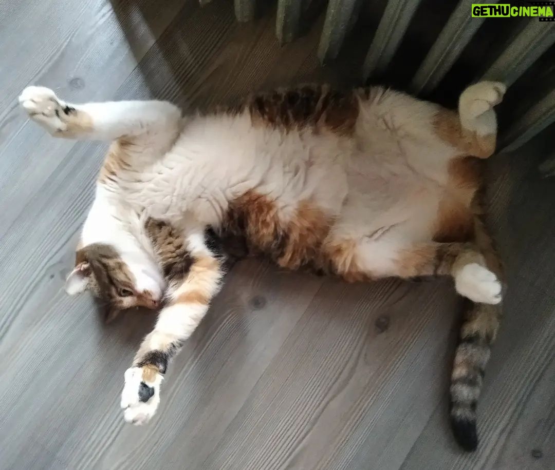 Suna Yıldızoğlu Instagram - Bu soğuk kış günlerinde başka ne yapılır? Bizim Possum 😻